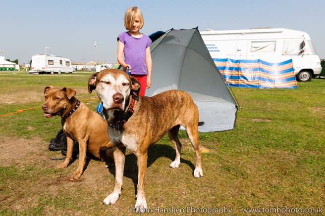 Playing with the dogs on the camping ground.